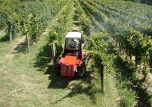 Tractoare 4WD Pierre P 796 V EVO