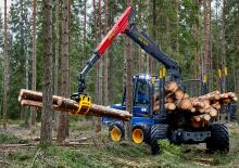 Transportoare Rottne F 13 D
