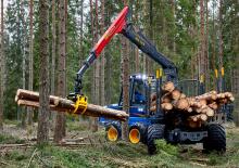 Transportoare Rottne F 13 E