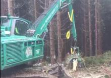 Utilaje de recoltat bușteni Impex Königstiger T 30 Gigant
