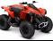RENEGADE 850