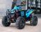 RENEGADE X XC 1000T